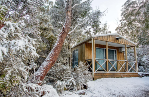 Discovery Parks Cradle Mountain - Cradle Mountain